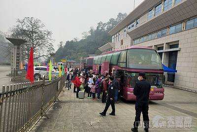 广西贵港市最新新闻，小巷深处的独特风味探索