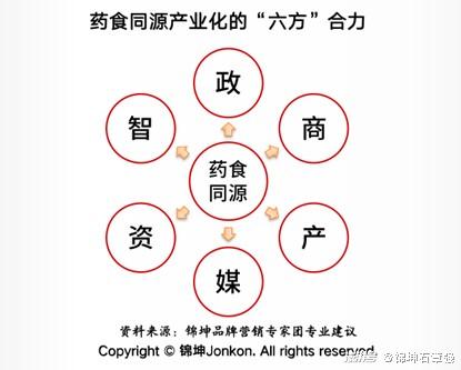 最新食药同源全面指南，探索食药融合的健康之道