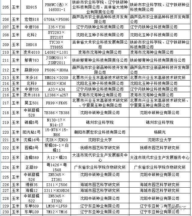 科技引领农业革新，最新审定玉米品种开启种植新时代