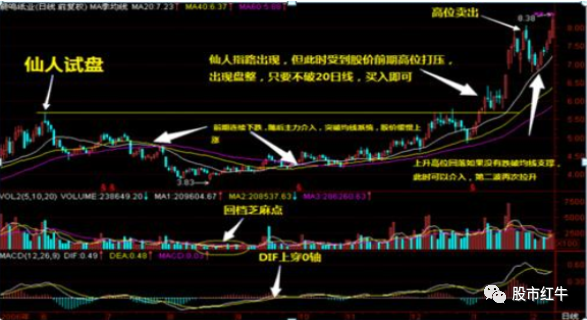 揭秘科技前沿巨头600658股票的高科技产品之旅，未来已至的启示