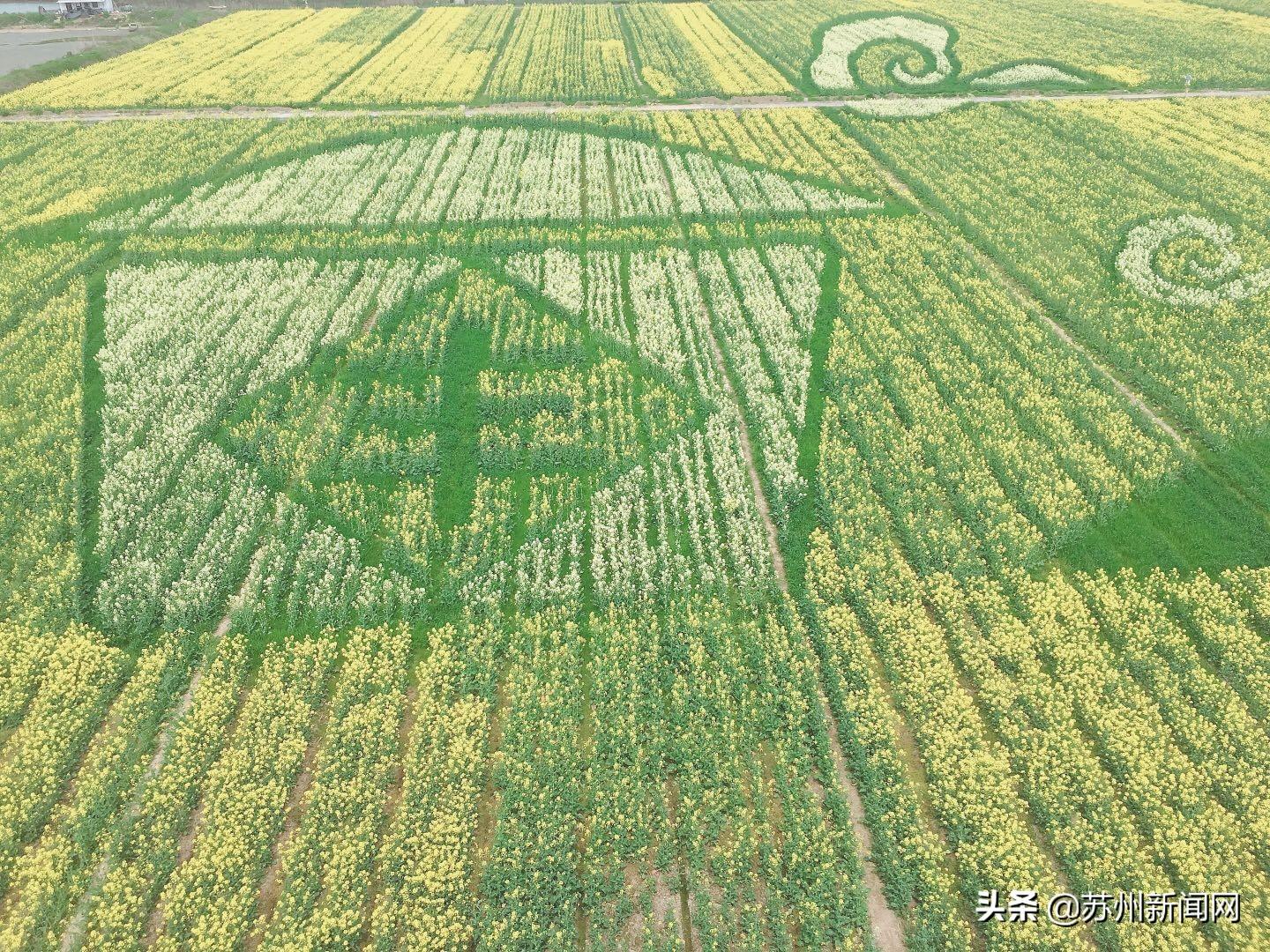 昆山明星,昆山明星，一场自然美景的探索之旅