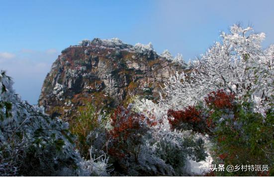 今日铅价格最新走势图，与自然美景的旅行对话体验