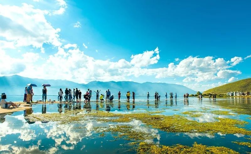 曲靖朱开荣最新,曲靖朱开荣最新，与自然美景的奇妙之旅