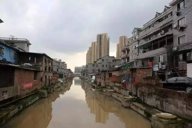 杭州土拍最新动态，巷弄深处的独特风景