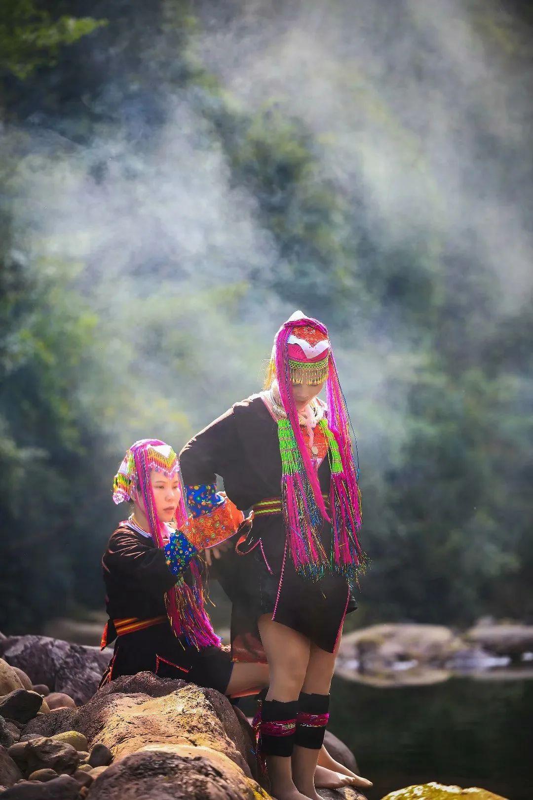 最新在线电影网站，自然美景的心灵之旅之旅