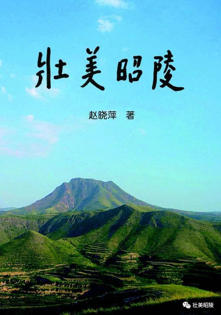 正阳大道泾河大桥最新风貌，隐藏在小巷深处的瑰宝