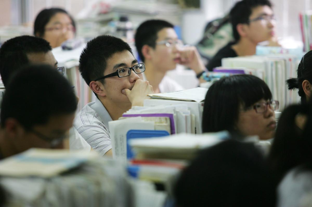 西北农大播种希望，收获未来，最新发展动态与展望