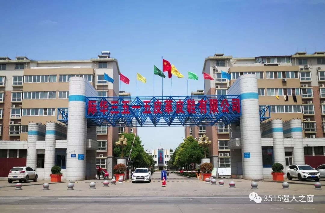 漯河3515最新招聘信息详解，观点论述与职位更新速递