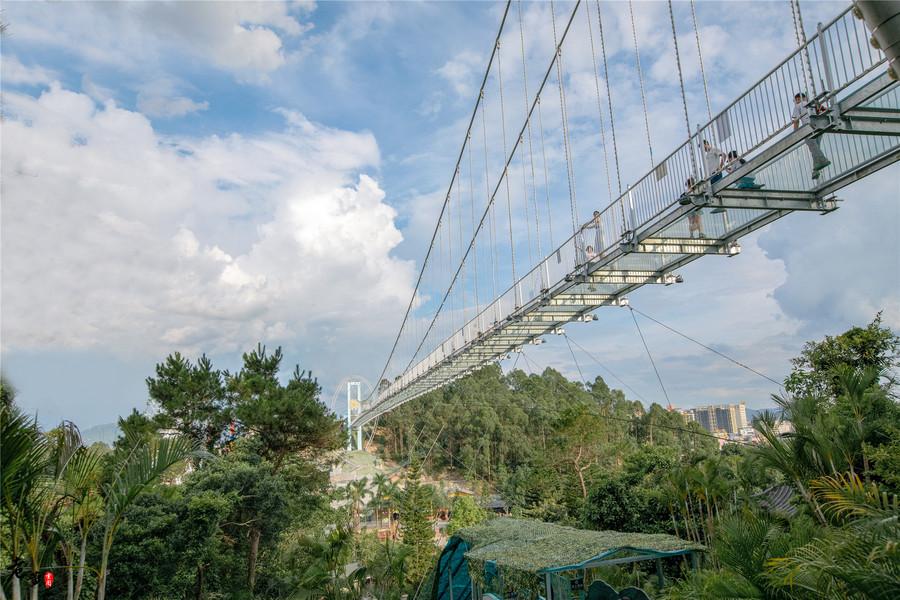 广西92号汽油最新价格揭秘，背后的趣事与情感纽带