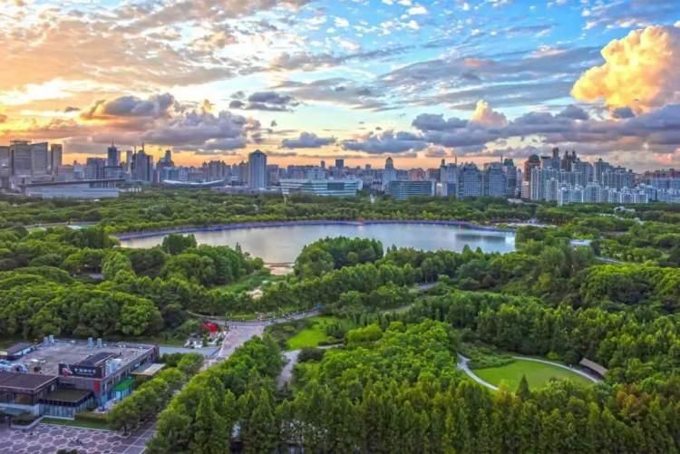 最新自由舞步八步，与自然共舞，探寻内心平和之道