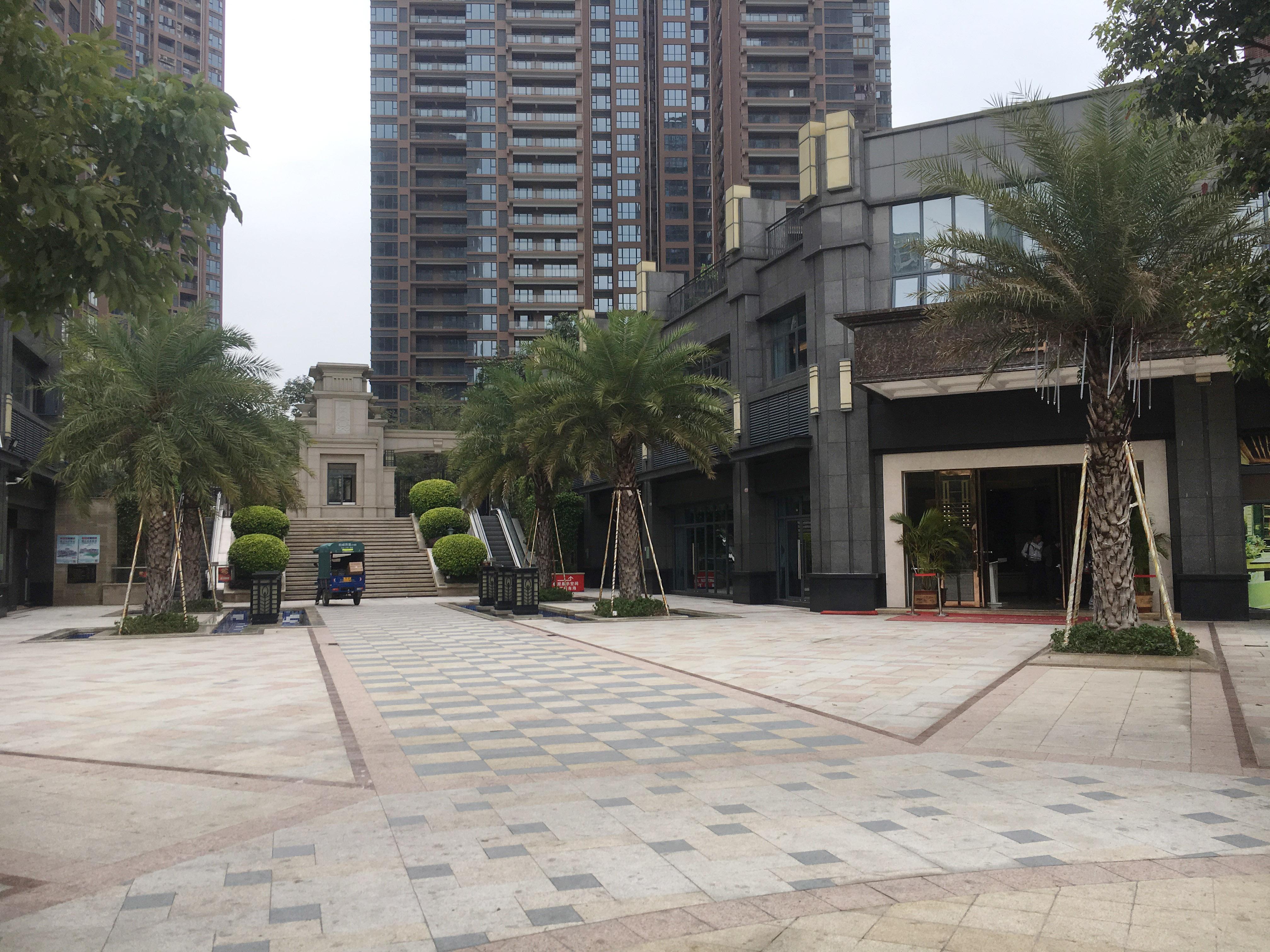 合肥肥东最新楼盘，与自然美景相遇，内心平和的居住之旅