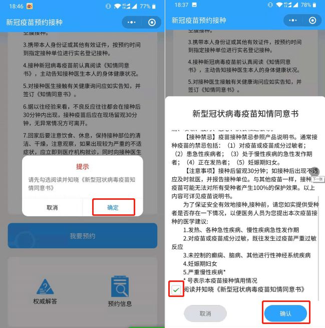 冠军小镇最新动态揭秘，未来之星的神秘面纱揭晓