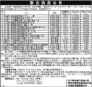 广西联拍最新拍卖公告深度解读与观点分析