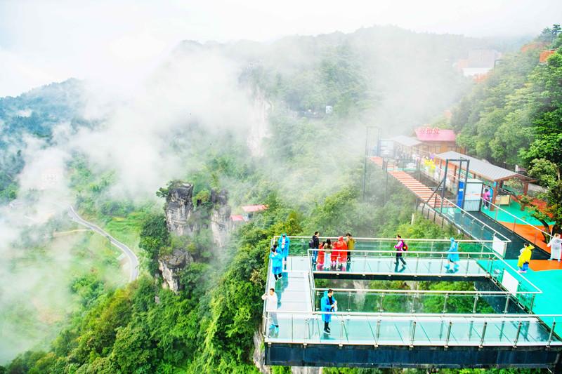 科力远最新公告，启程自然探索之旅，寻找内心平和的旅程