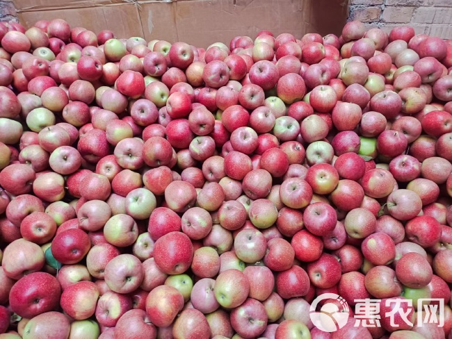 陕西礼泉苹果最新价格揭秘，价格背后的故事探究